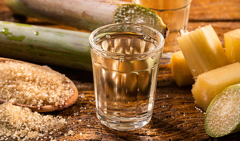 Die Basis für fast jeden Rum bildet eine Melasse aus Zuckerrohr. Einzige Ausnahme: Rhum Agricole. Der wird aus Zuckerrohrsaft hergestellt.