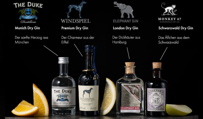 In der Couchtasting Gin Box sind enthalten: The Duke, Windspiel Gin, Elephant Gin und Monkey 47.