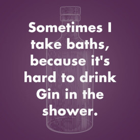 Gin Zitat Gin Zitat