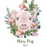 Mini Pig Gin