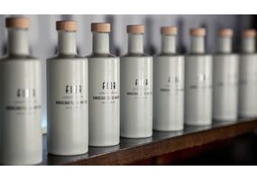 Handcrafted Gin aus Österreich - Alles über Gin FIOR