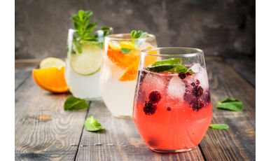 Die besten Gins für den Sommer
