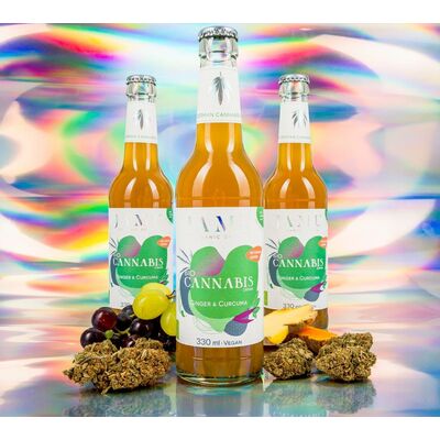 6x BIO CANNABIS DRINK mit Ingwer & Curcuma - JAMU Limonade