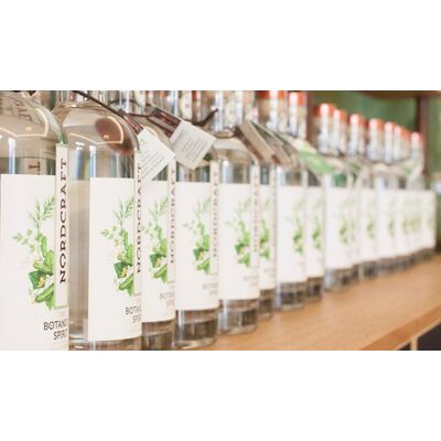 NORDCRAFT Distillery Art in Duo (Dry Botanical Spirit "Dill & Cucumber" + "Beet & Berry")