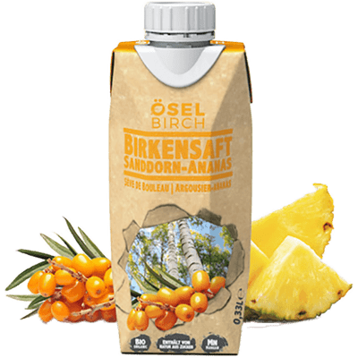 8x Bio-Birkensaft Sanddorn/Ananas