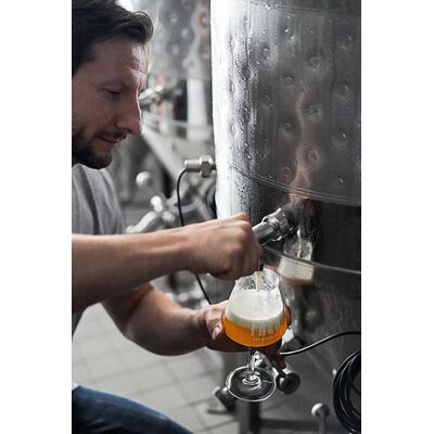 12 x Finne Bio Helles 3
