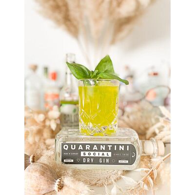 Quarantini Social Dry Gin 3