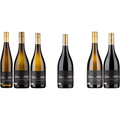 Wine package site wines (5x white wine + 1x red wine)