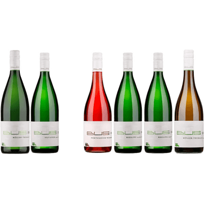 Weinpaket Schorlegewitter (5x Weißwein + 1x Rosé)
