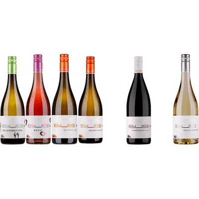 Sommerpaket feinherb (3x Weißwein + 1x Rotwein + 1x Roséwein + 1x Secco)