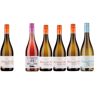 Summer package dry (1x Blanc de Noir + 4x white wine + 1x rosé)
