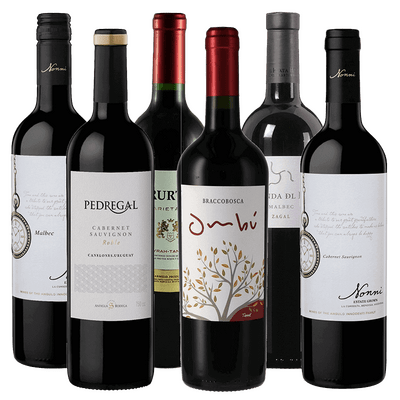 Südamerika Rotwein Probierpaket (2x Malbec + 2x Cabernet Sauvignon + 1x Tannat + 1x Cuvée)