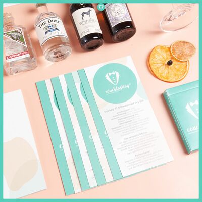 Couchtasting Gin Box - Gin Tasting Set 9