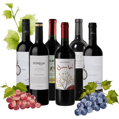 South America Red Wine Tasting Pack (2x Malbec + 2x Cabernet Sauvignon + 1x Tannat + 1x Cuvée)