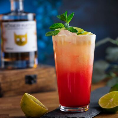 Böser Kater Fruity Mango Gin 3