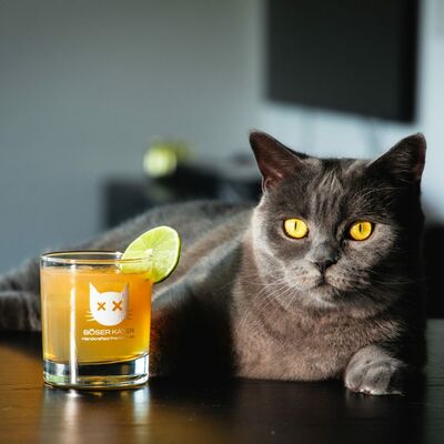 Magic Grapefruit Gin mit Farbwechsel 3