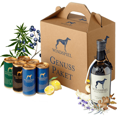 Windspiel Gin & Tonic Set - Komplett-Paket (1x Premium Dry Gin + 2x Herbal Hanf Tonic + 2x Tonic Water + 2x Dry Tonic)