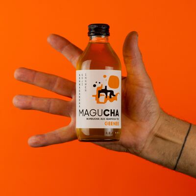 6x Magucha Geenee - Organic Kombucha Set