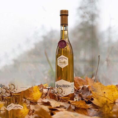 Schwechower Spirituose HASELNUSS - Haselnuss-Schnaps