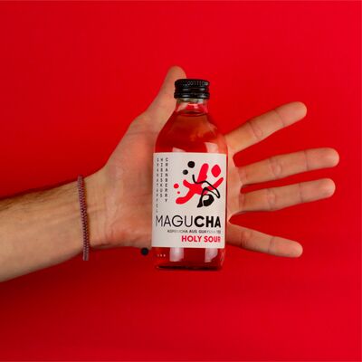 6x Magucha Holy Sour - Organic Kombucha Set