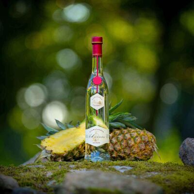 Schwechower Obstbrand ANANAS - Ananasbrand - limitierte Auflage