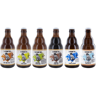 Craft Beer Tasting Set Mix Six Pack (1x Lager + 1x Rye Pale Ale + 1x Hefeweizen + 1x IPA + 1x Brown Ale + 1 x WIT)
