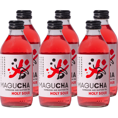 6x Magucha Holy Sour - Organic Kombucha Set