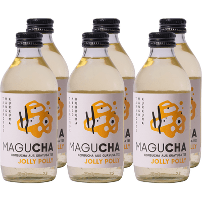 6x Magucha Jolly Polly - organic kombucha package