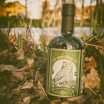 1229 Forest Schnapps GIN - London Dry Gin