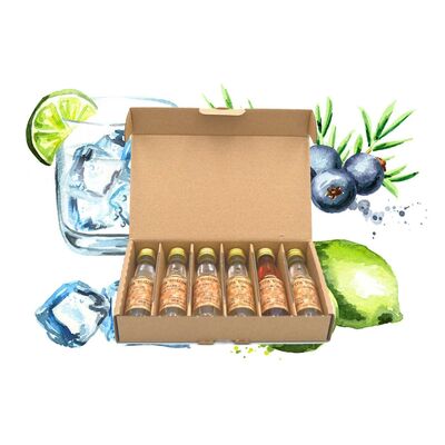 Vita Dulcis Gin Tasting Box: Germany (6x Gin Minis)